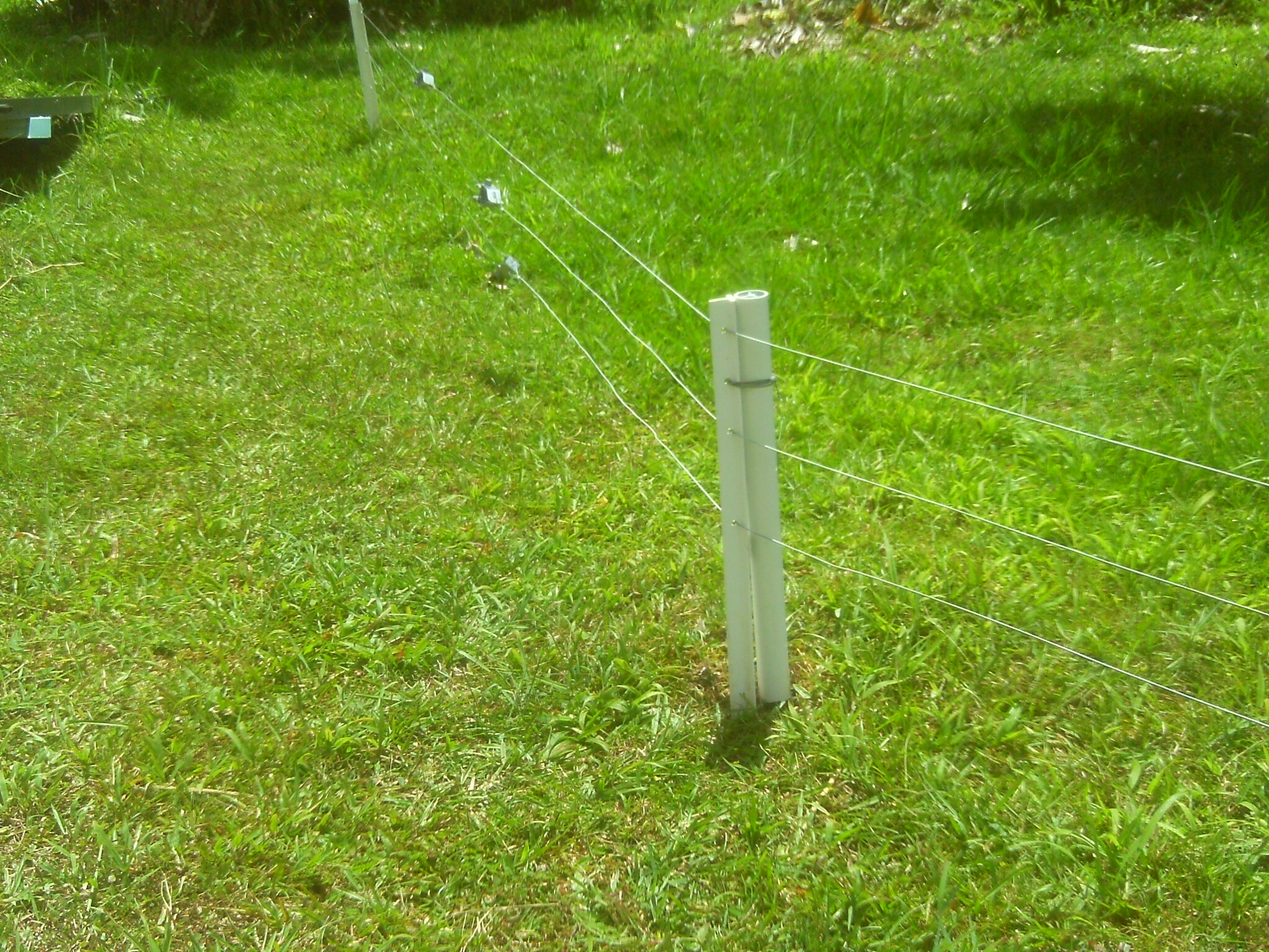 AntiPig Electric fences